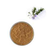 GMP Manufacturer Supply 100% Natural Antioxidant Rosemary Herb Extract / 6%~25% Carnosic Acid